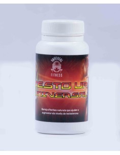 Testo Up Universal | Universal Fitness